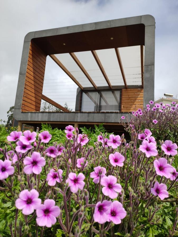 Calheta Glamping Pods - Nature Retreat Extérieur photo