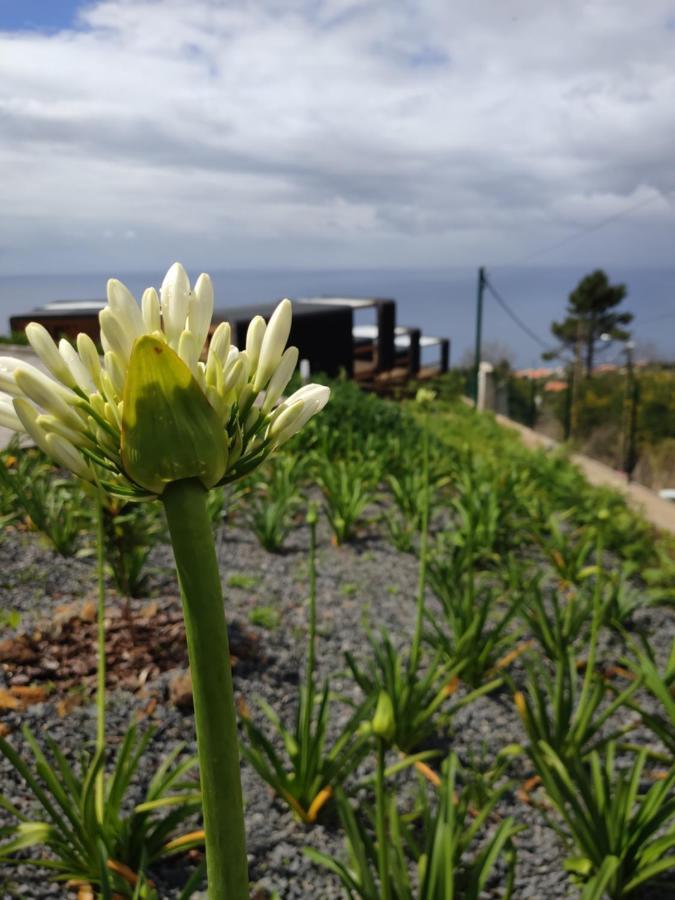Calheta Glamping Pods - Nature Retreat Extérieur photo