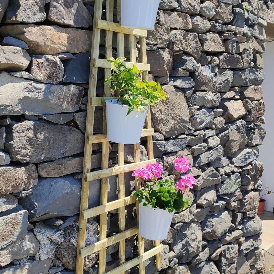 Calheta Glamping Pods - Nature Retreat Extérieur photo