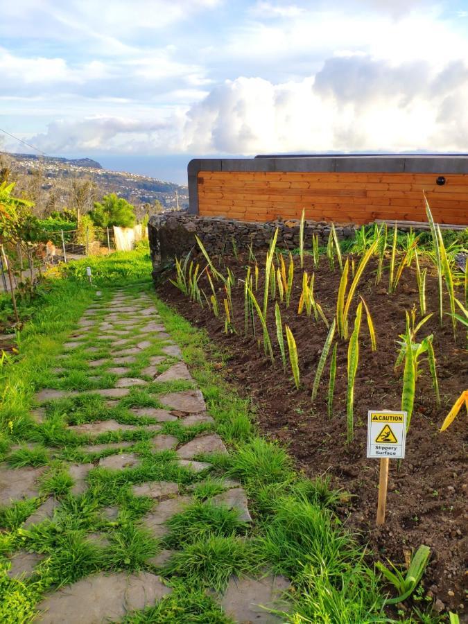 Calheta Glamping Pods - Nature Retreat Extérieur photo